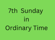 7th-Sunday-ordinary-time.png